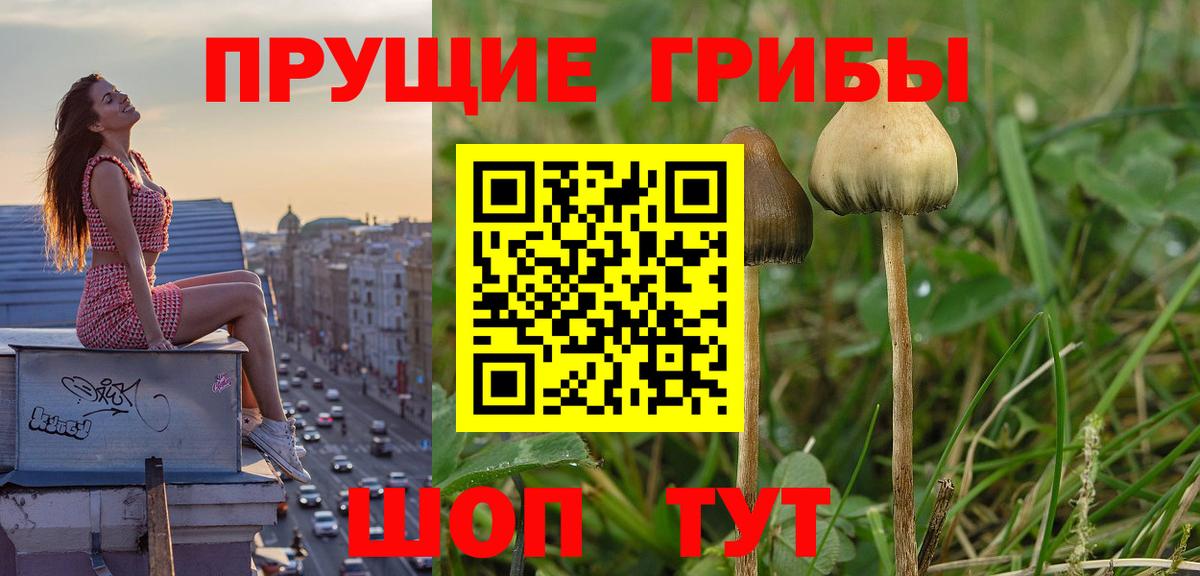 Псилоцибиновые грибы MAGIC MUSHROOMS Назарово
