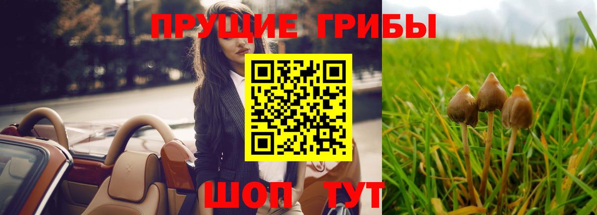 Псилоцибиновые грибы Magic Shrooms  как найти наркотики  Назарово  Вход с VPN 